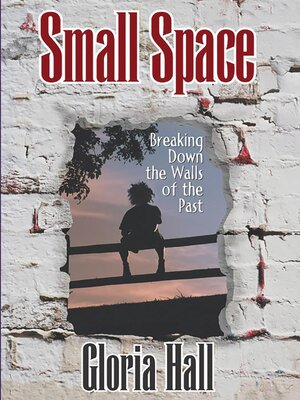 cover image of Small Space